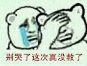 股市搞笑视频,笑谈投资界的欢乐瞬间